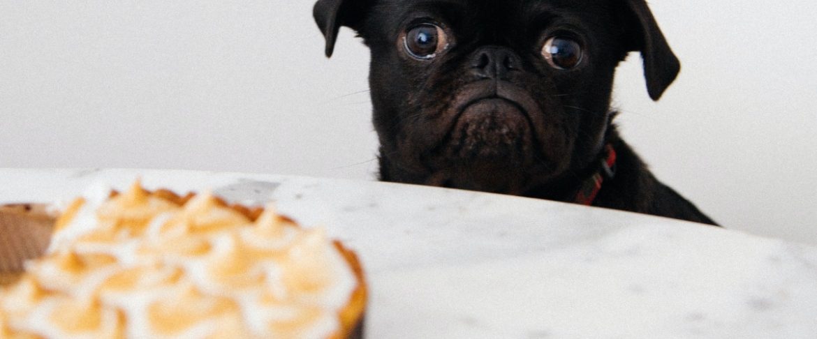 Is it really intuitive eating?